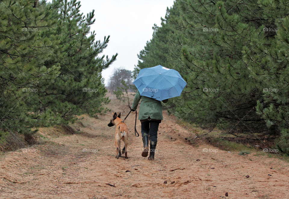 Spring walk