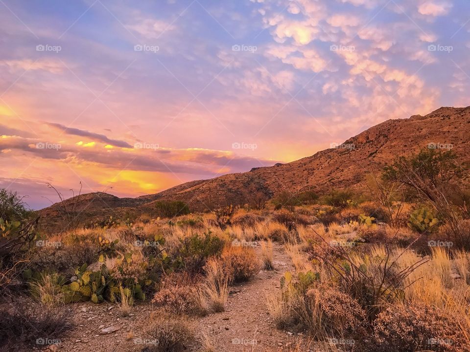 Desert Landscape - Sunset 