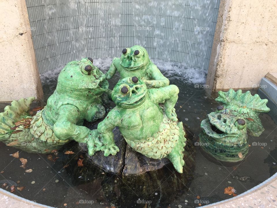 Frogs