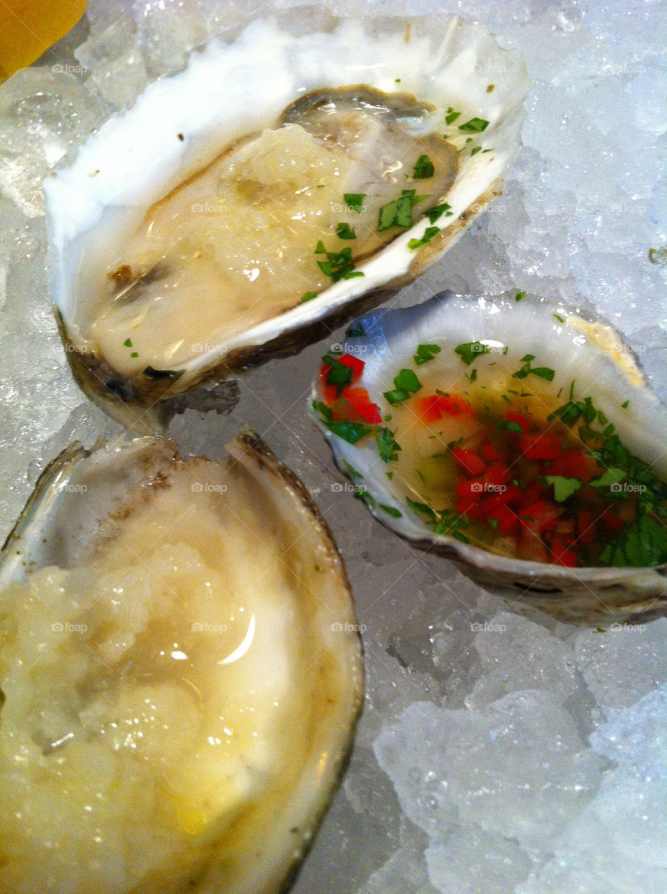 oysters eastcoast shooters by mhavertj