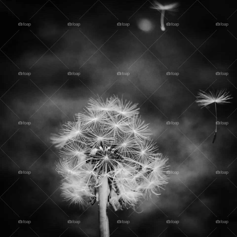 Blown away