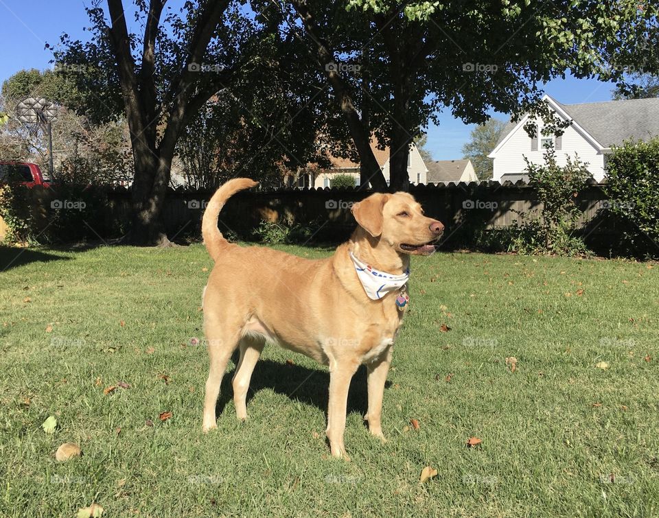 On alert for someone to play ball