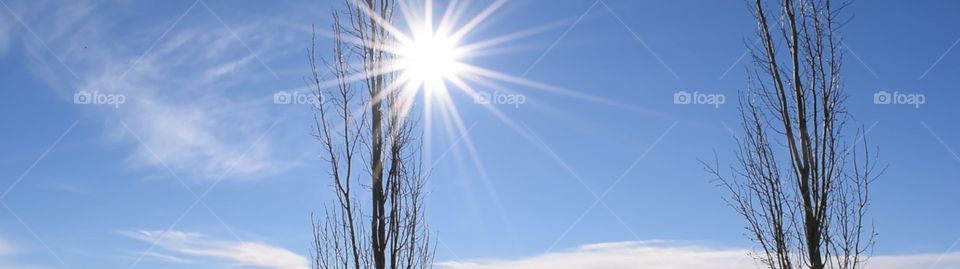 Great sun flare panorama photo