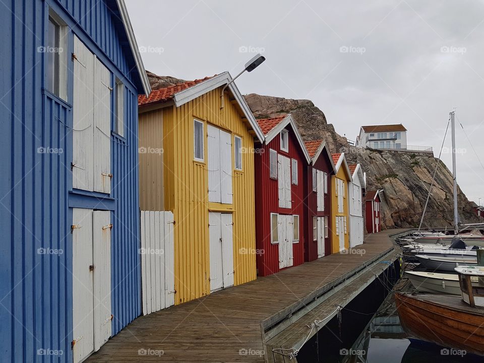 Colorful houses in the port