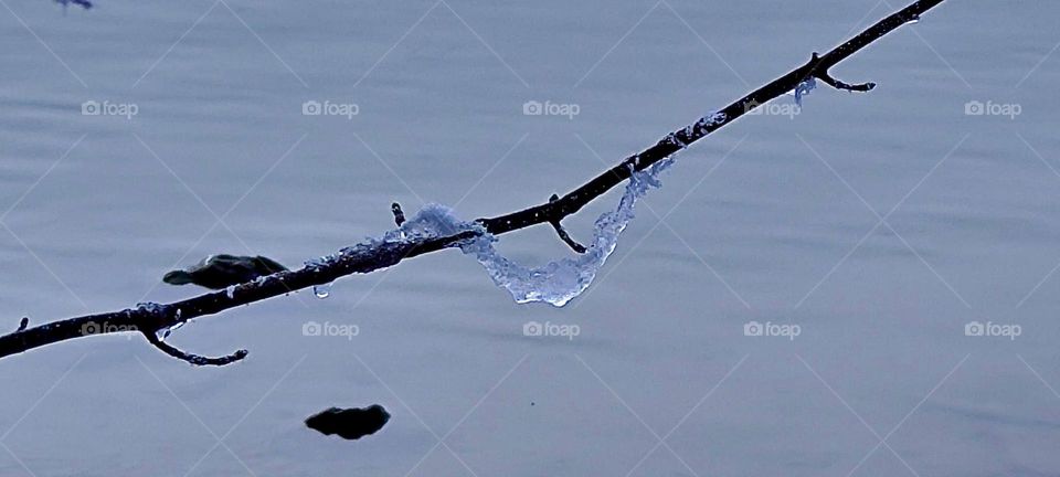 A lone twig in the winter air with another wrapped around it originates in “Kochel am See”, “Kochel at the Lake” north of the “Alps” in “Bavaria”, Germany. The twisted twig looks designed even more so when covered in snow. 2024. Hypnotic Productions