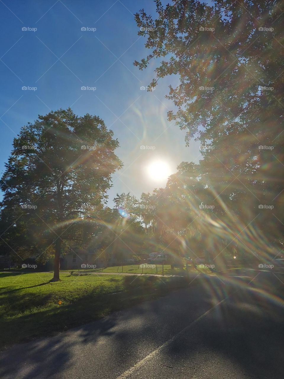 Glared yet Cool 😎Pic