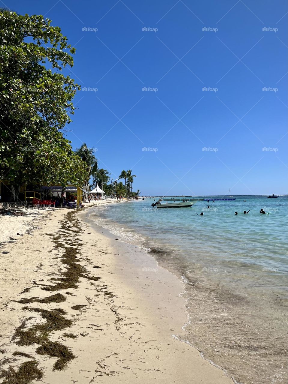 French West Indies beach 
