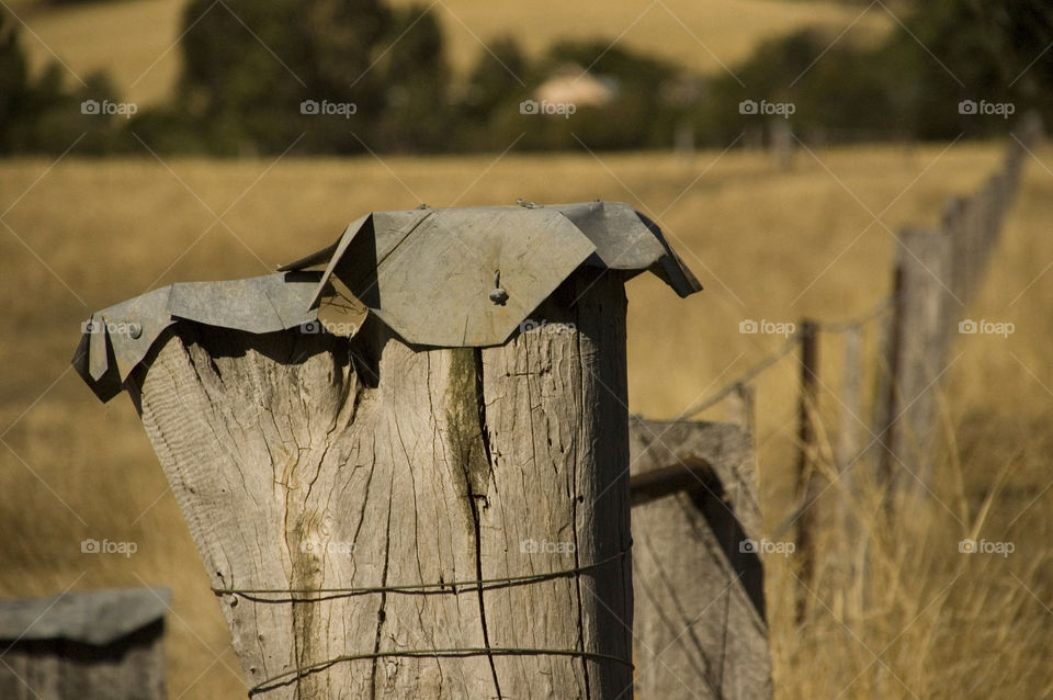 Rural Fence Post