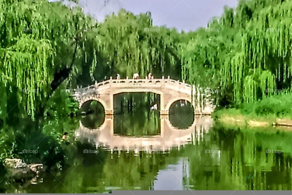 The Chinese bridge that has many green willows around, from the water reflection can watch the same landscape, very beautiful, attractive and comfortable.  is a Chinese type garden.