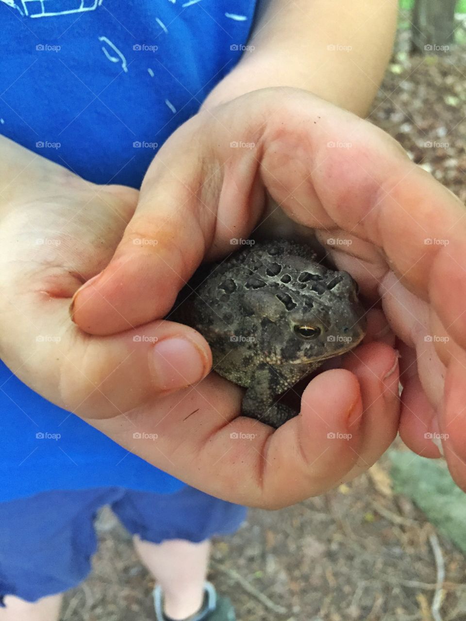 catching toads with mason 