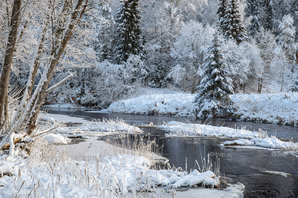 River. Snow. Forest.