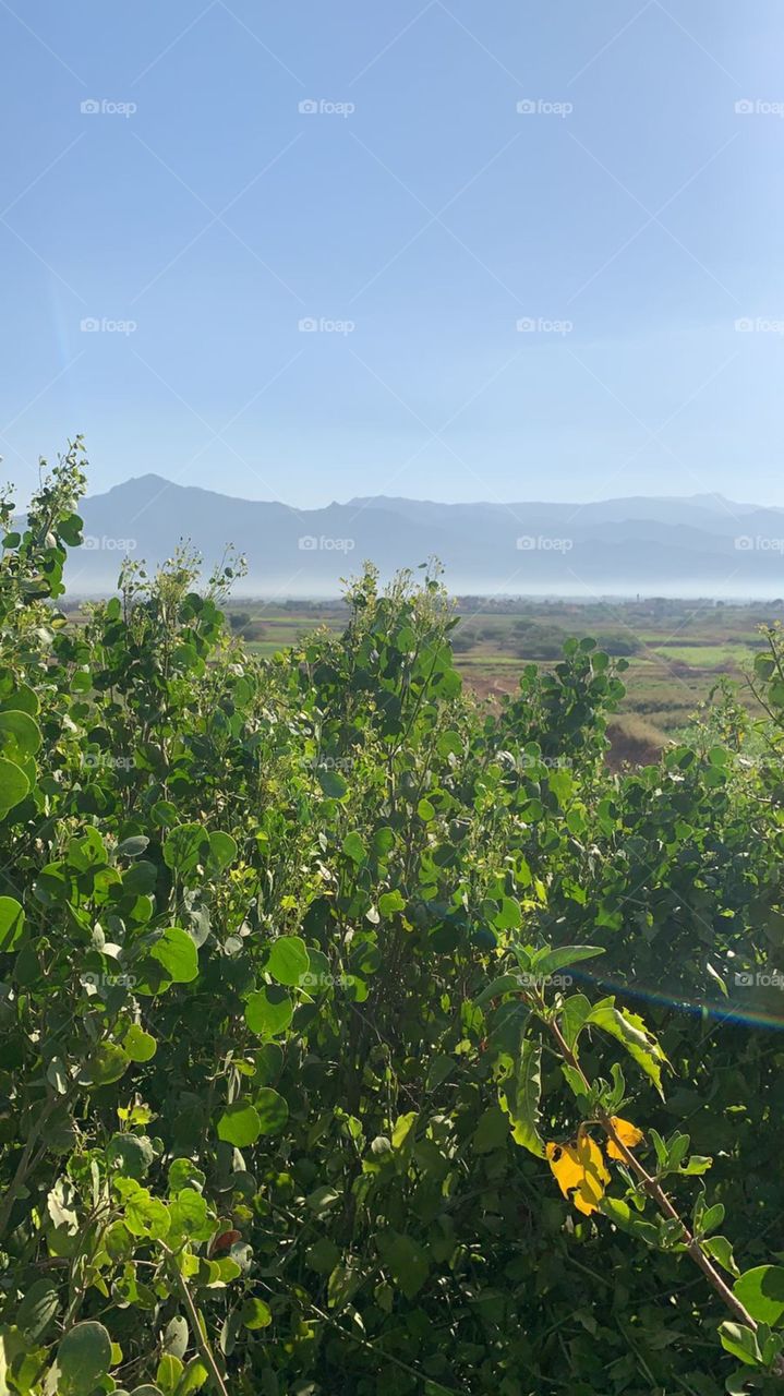 It is a beautiful picture of the most beautiful views of Jizan, the best mountains of Jizan and the rain