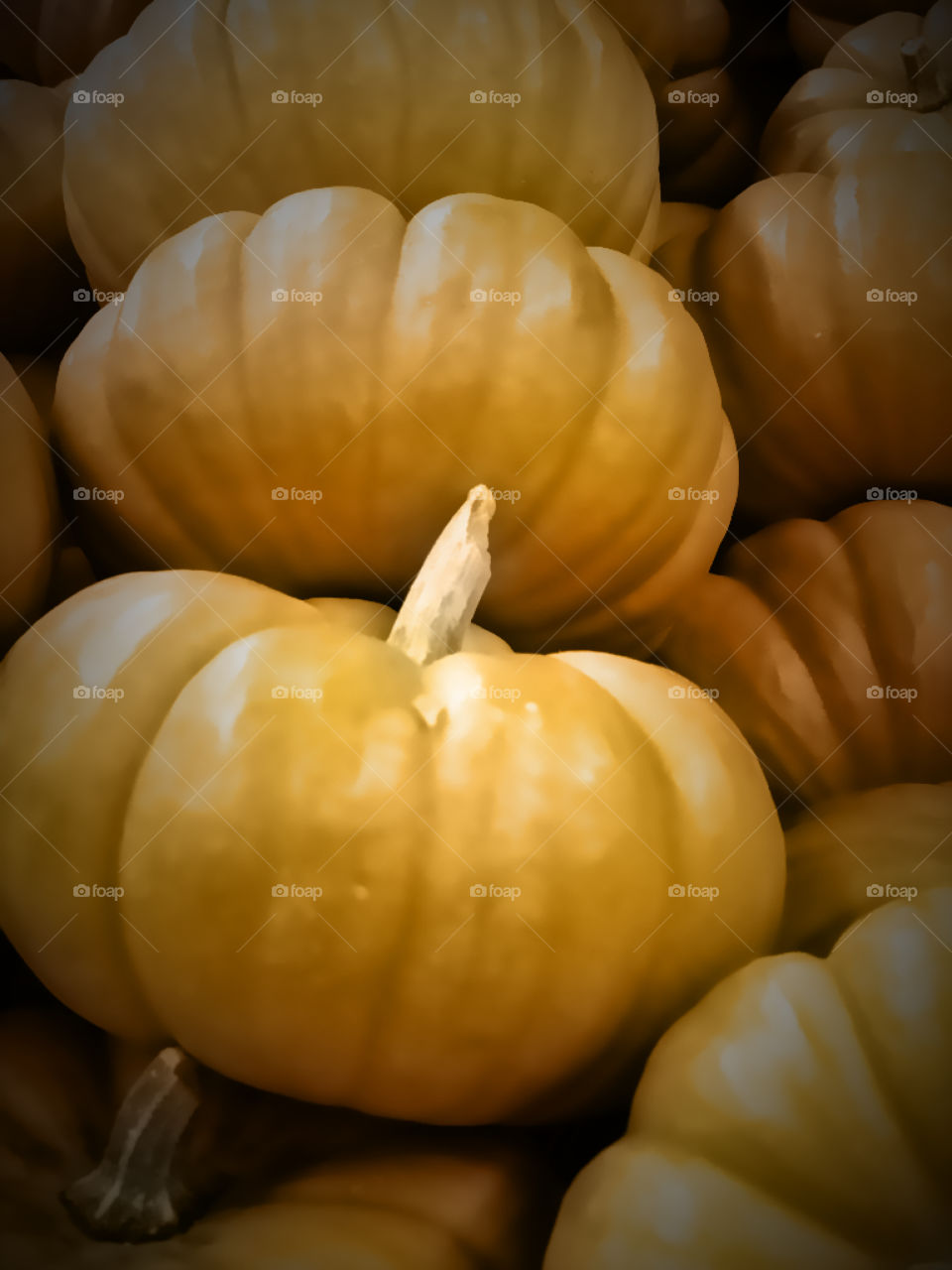 Fall Pumpkins!