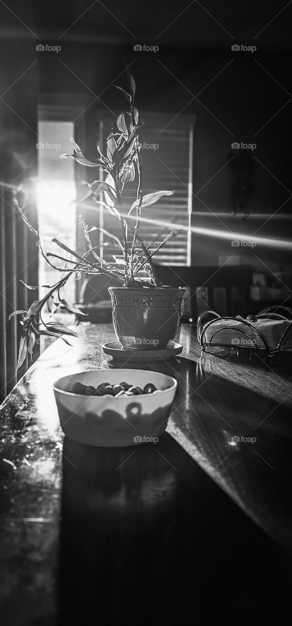 B&W breakfast