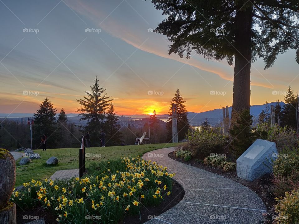 Beautiful Sunset on Burnaby Mountain with the Vancouver skyline in the background