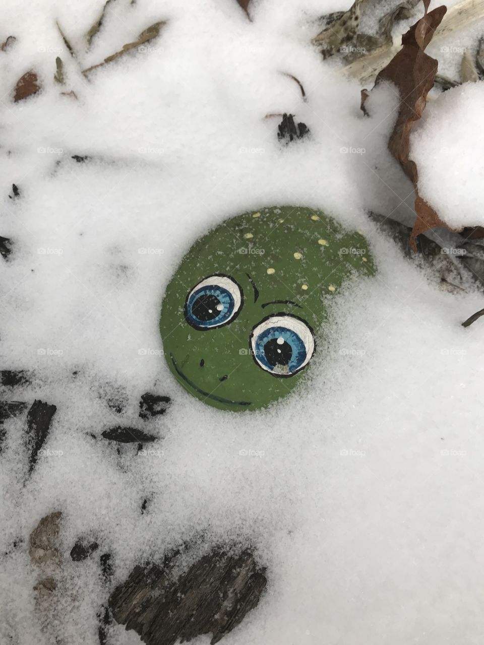 Froggy peeping out of the snow