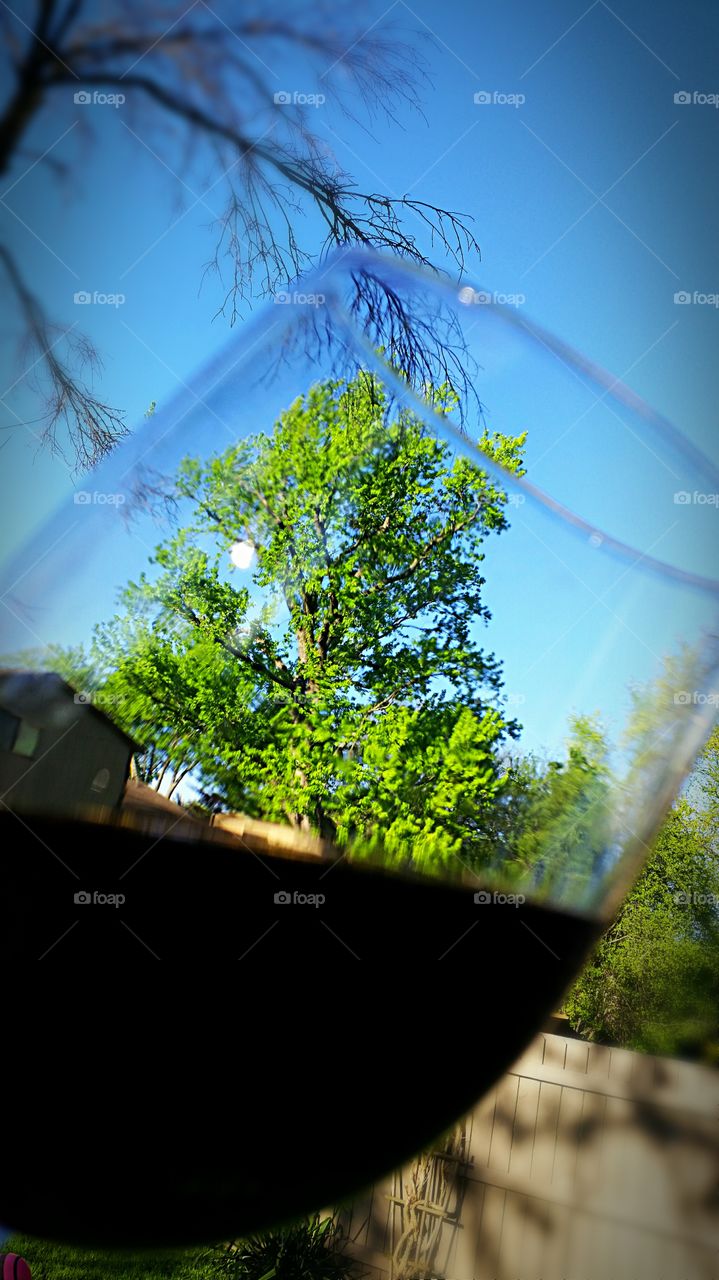 Glass  of  red  wine