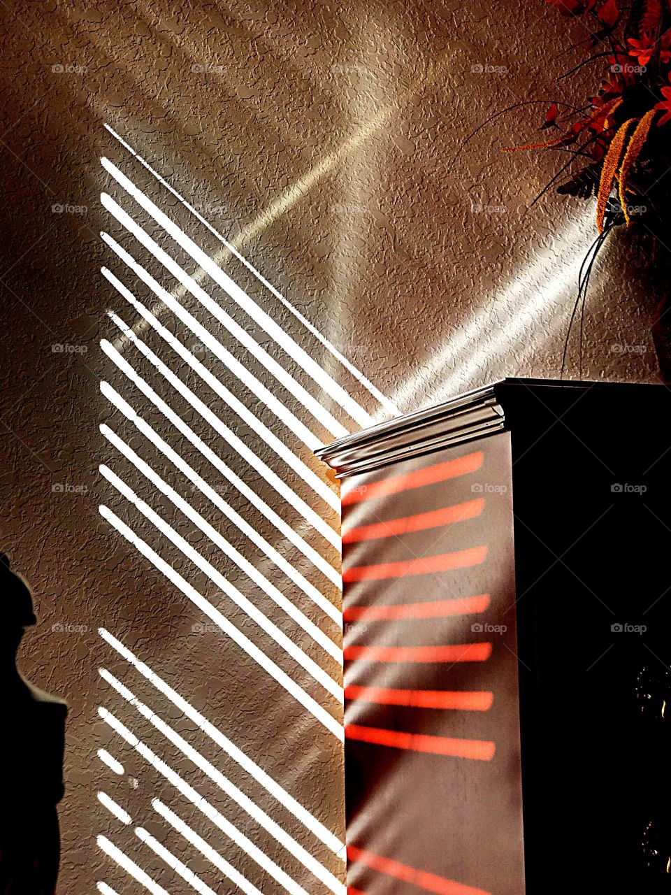 Shadow and light symmetry..