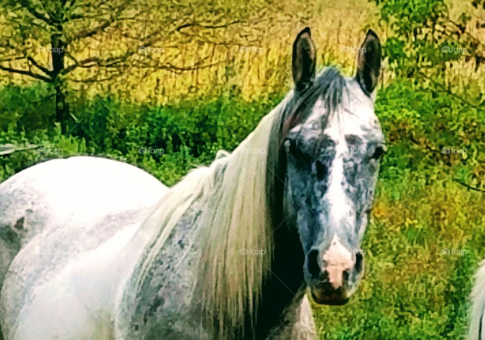 Driving the Back Roads and enjoying everything around us