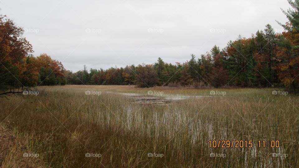 Northern Michigan 