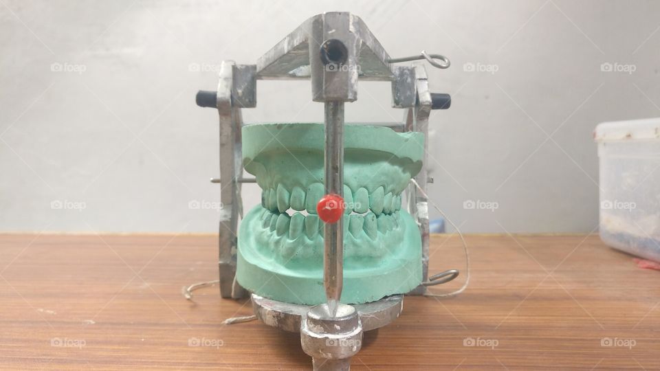 articulator with mandibular and maxillary theeth