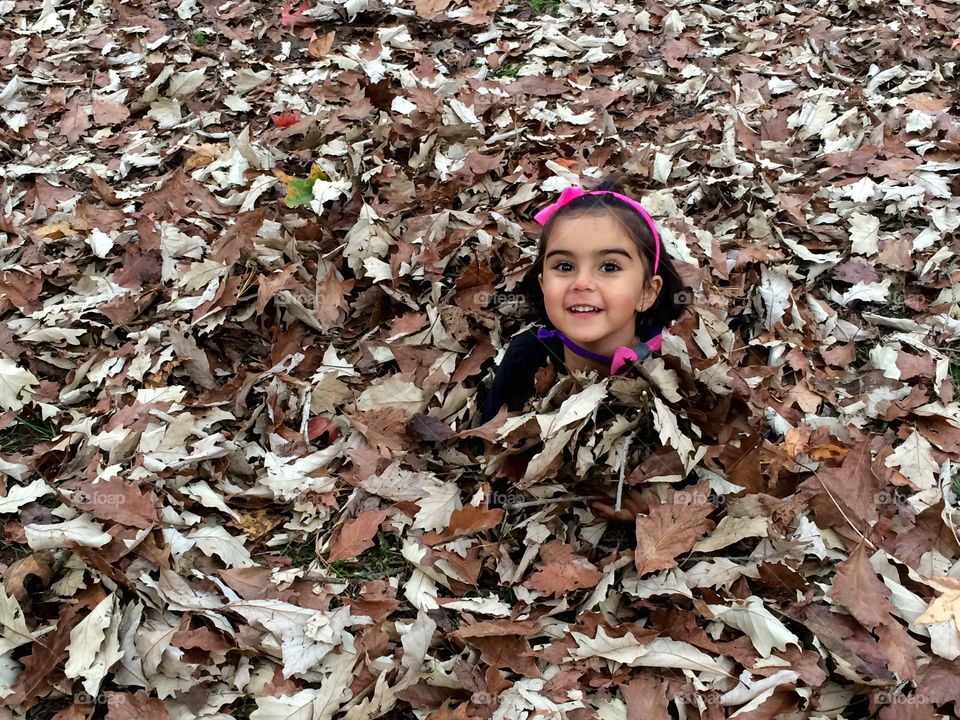Fall fun. Covered in leaves! Hours of entertainment 