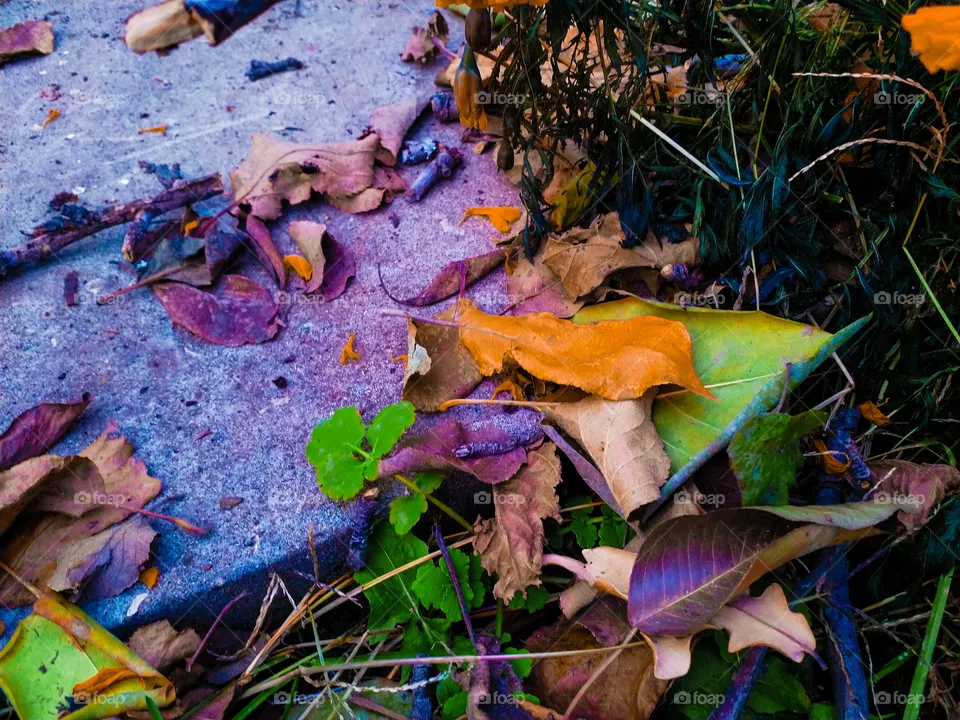 Color.