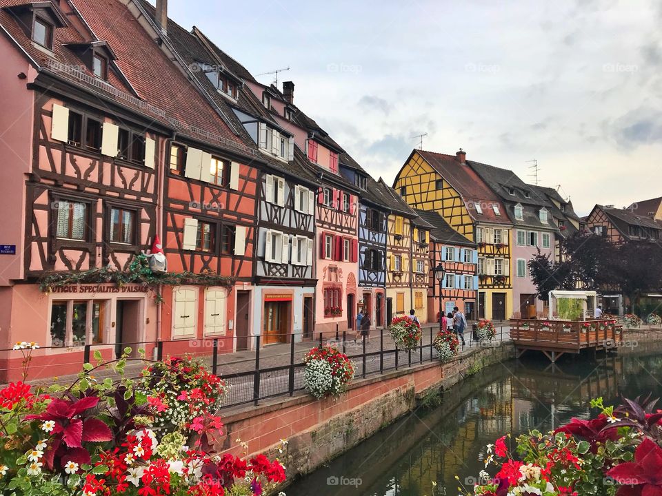 Summer flowers and colourful houses In Colmar, France 