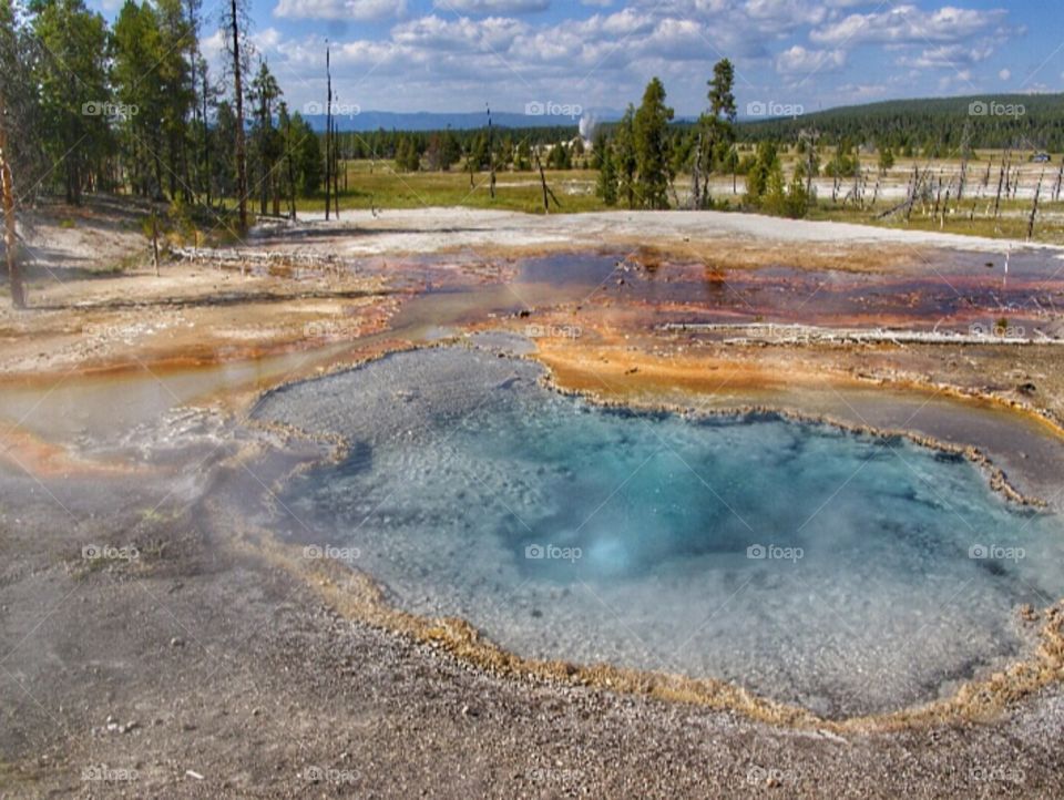 Yellowstone beauty