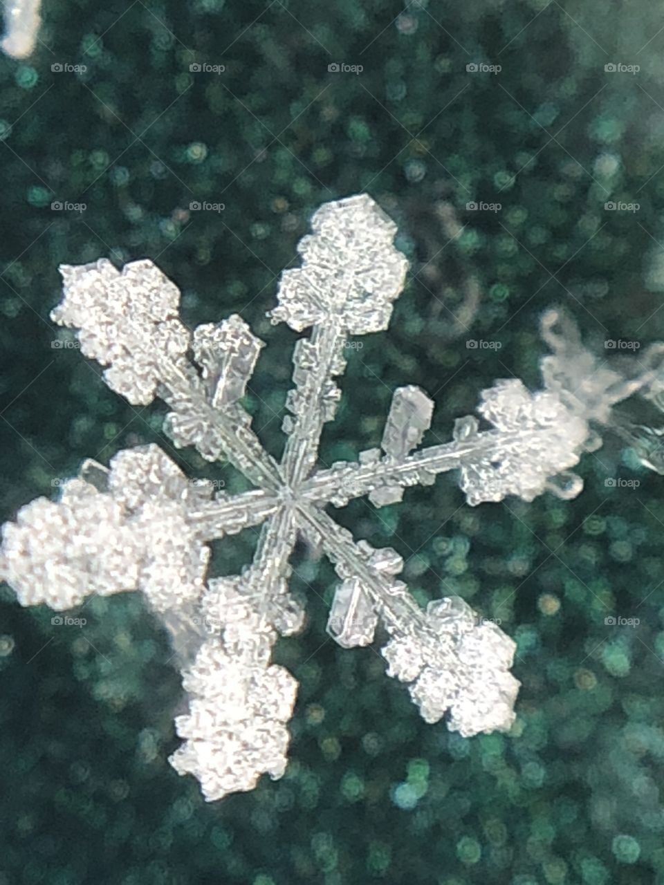 Perfect Snowflake -macro photography 