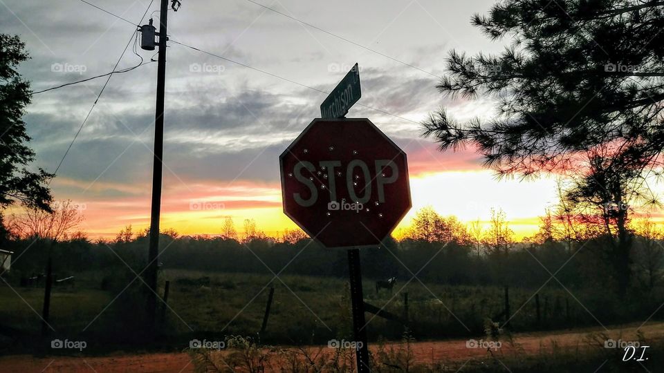 stop shooting stop signs
