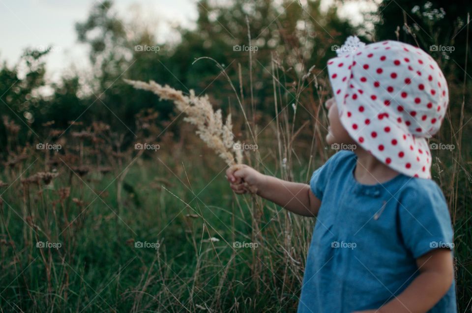 discovering the nature around