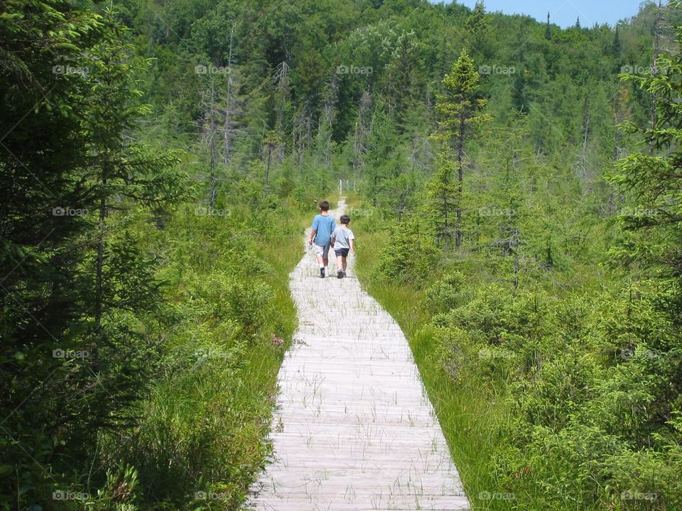 A Walk in the Adirondacks 