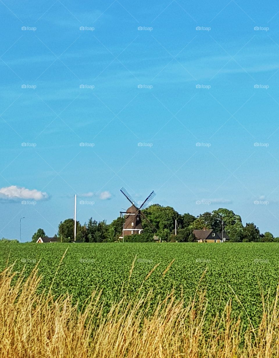 windmill