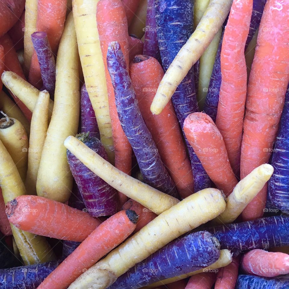 Organic colorful carrots