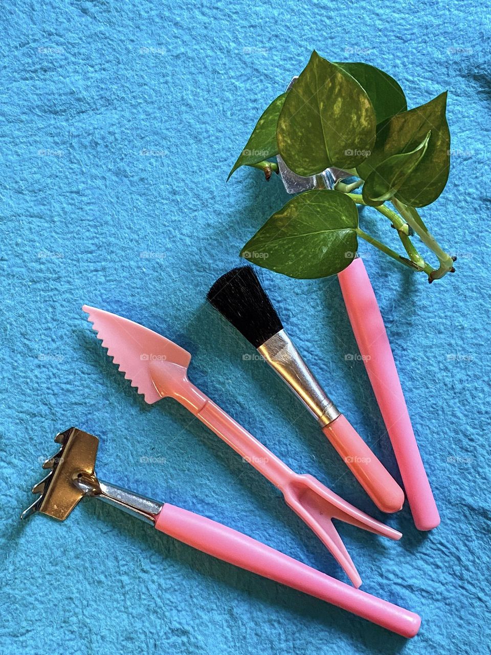 Mini gardening tools in pink against sky blue background with new cutting green leaves.