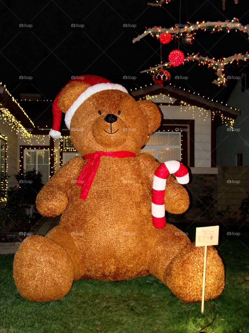 Christmas bear