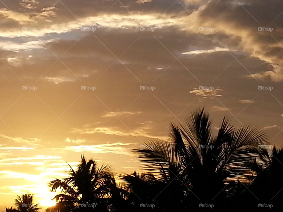 sun's sunset. sunsets  in my cam