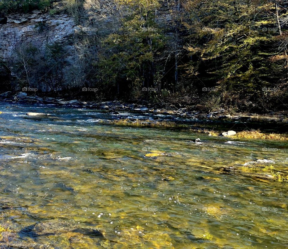 Locust Fork River 