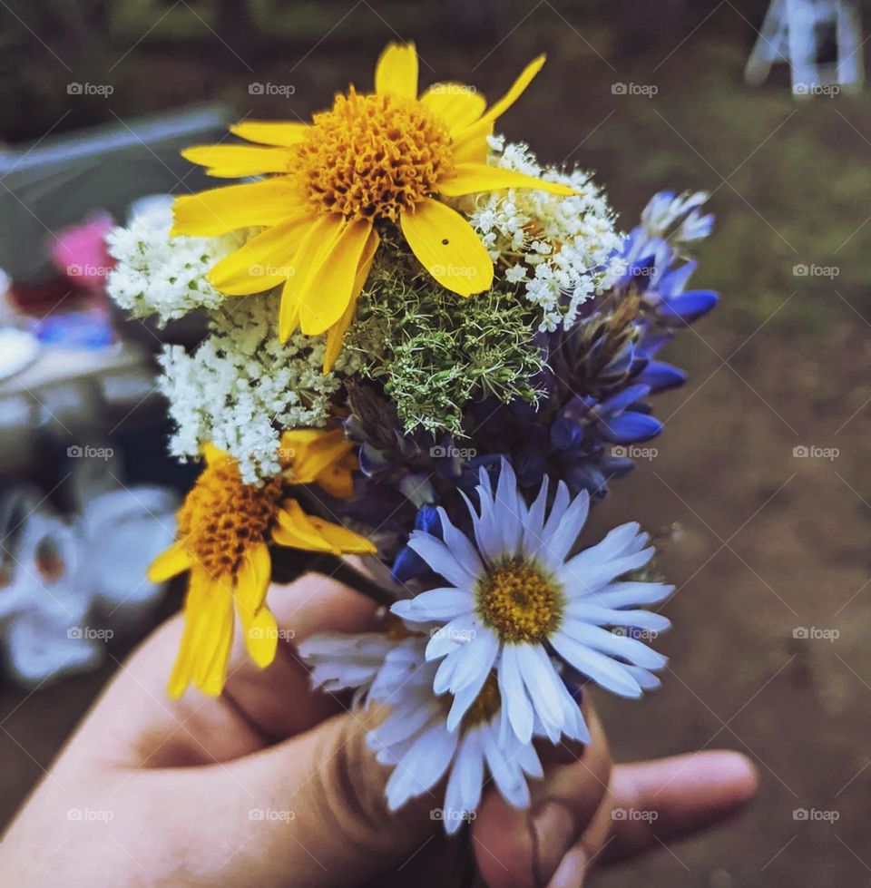 A photograph of beautiful hand picked flowers