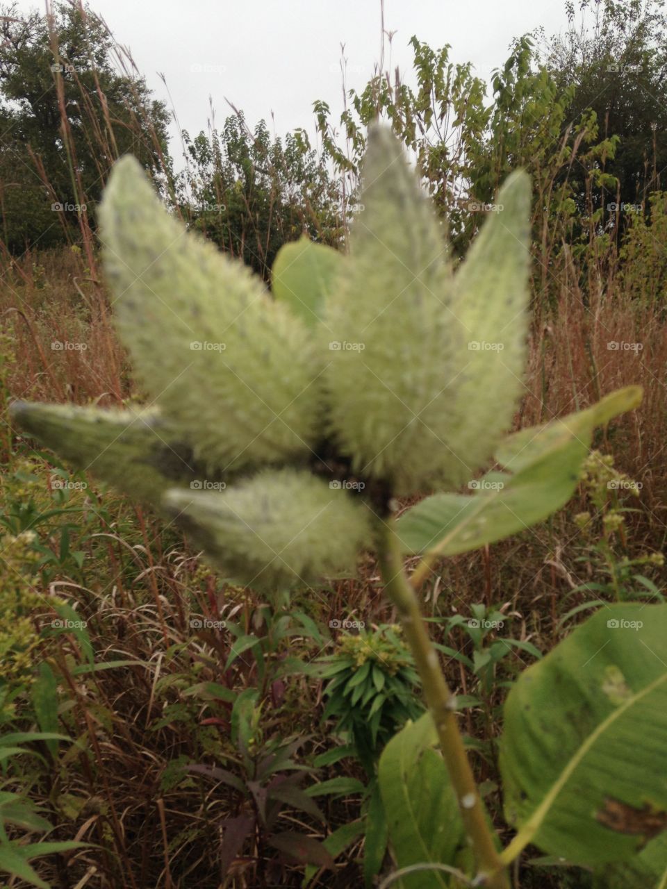 Hiking with grandsons 