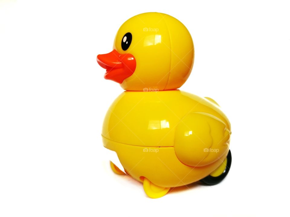 Close-up of a toy duck