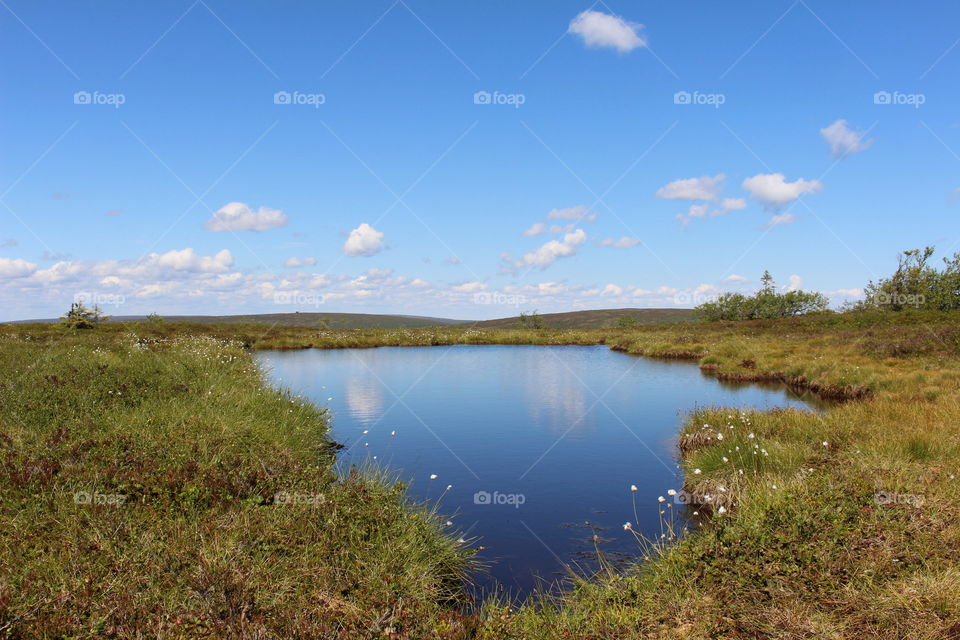 Summer lake in the mountains.