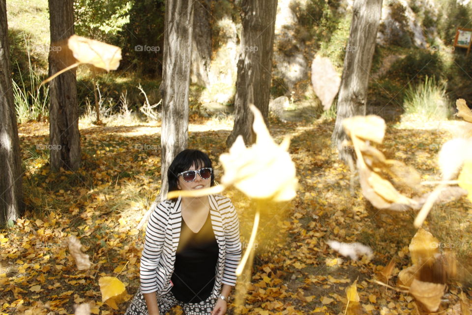 Autumn leaves thrown into the air. Some leaves look closer. It is an autumn landscape. There are more yellow leaves on the ground. Behind me are tree trunks.