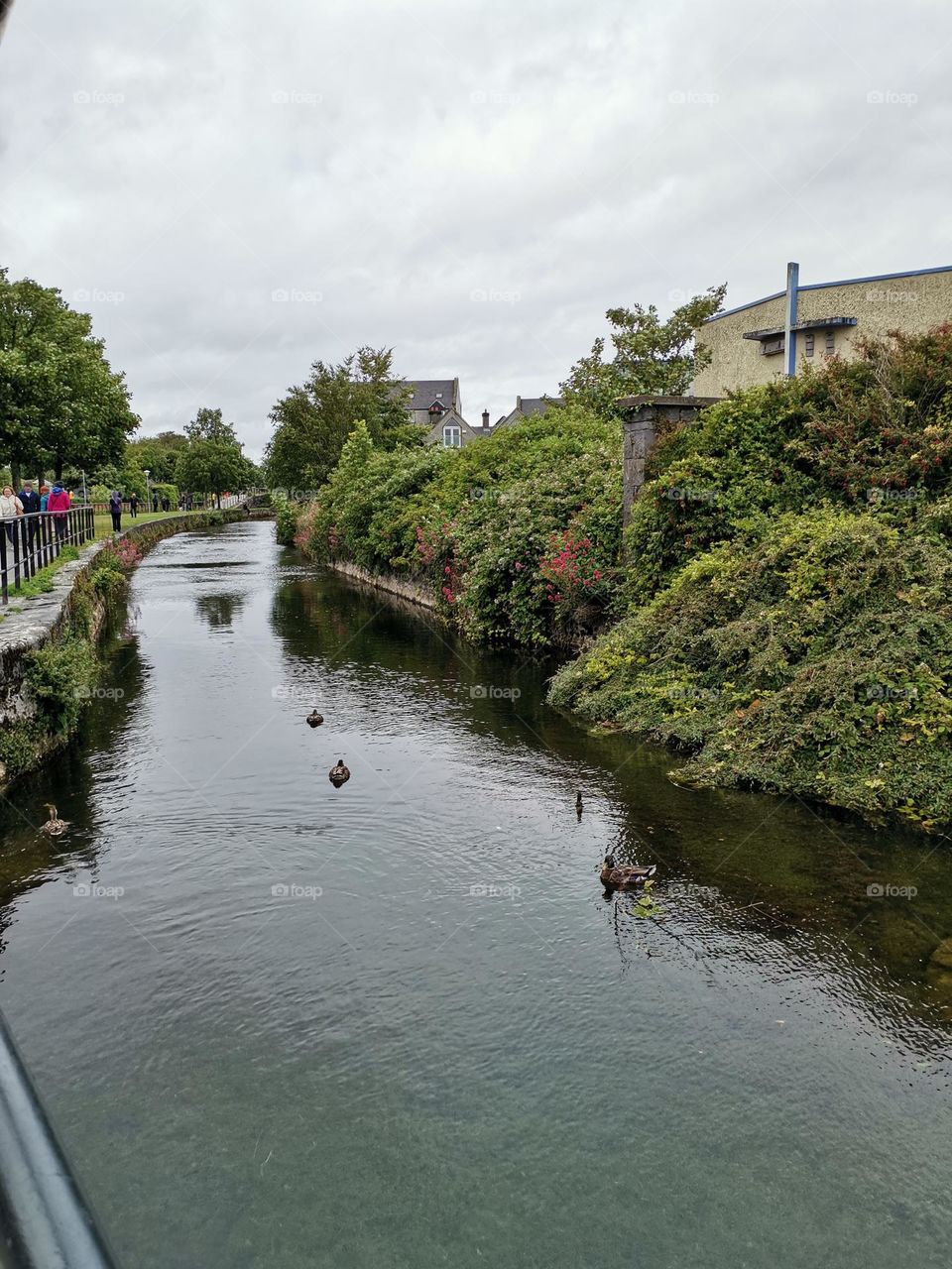 Galway Ireland