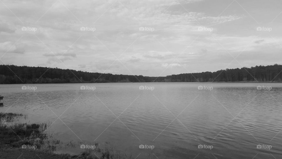 lake grayscale