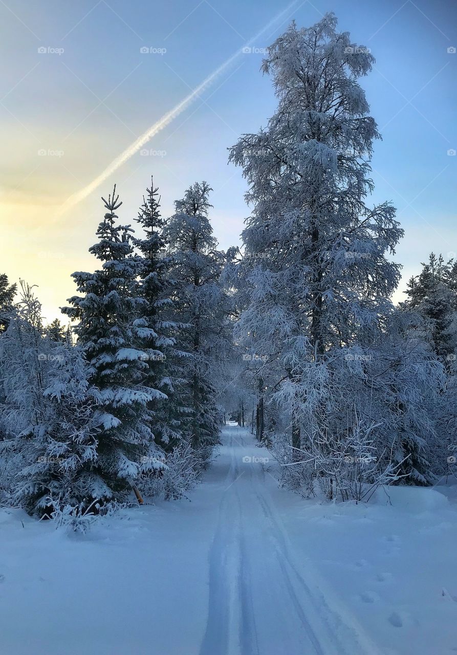 Winter in Jämtland