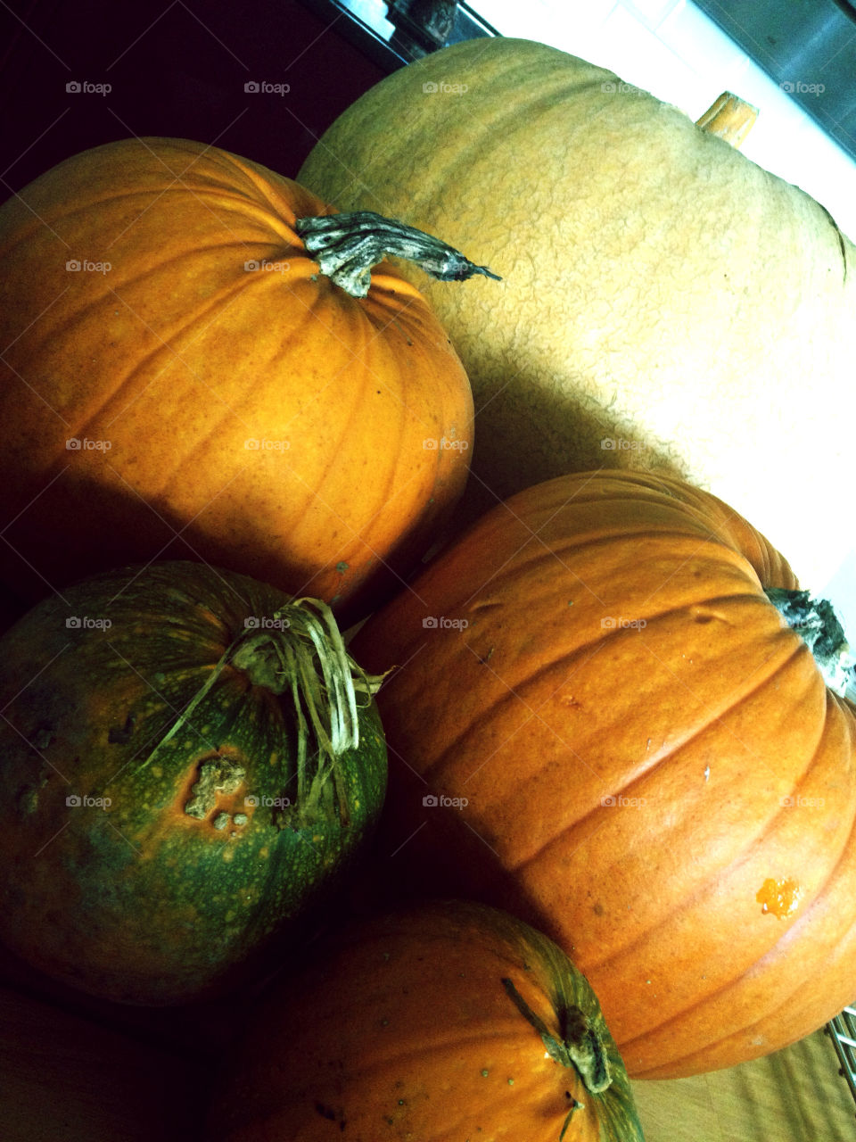 orange pumpkin halloween autum by emilie.reddall