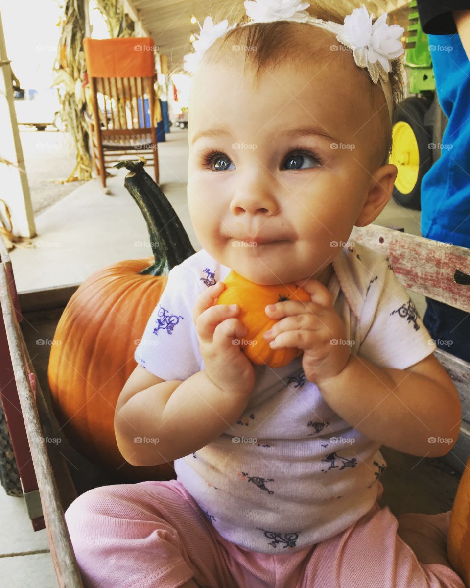 Cutest pumpkin in the patch 