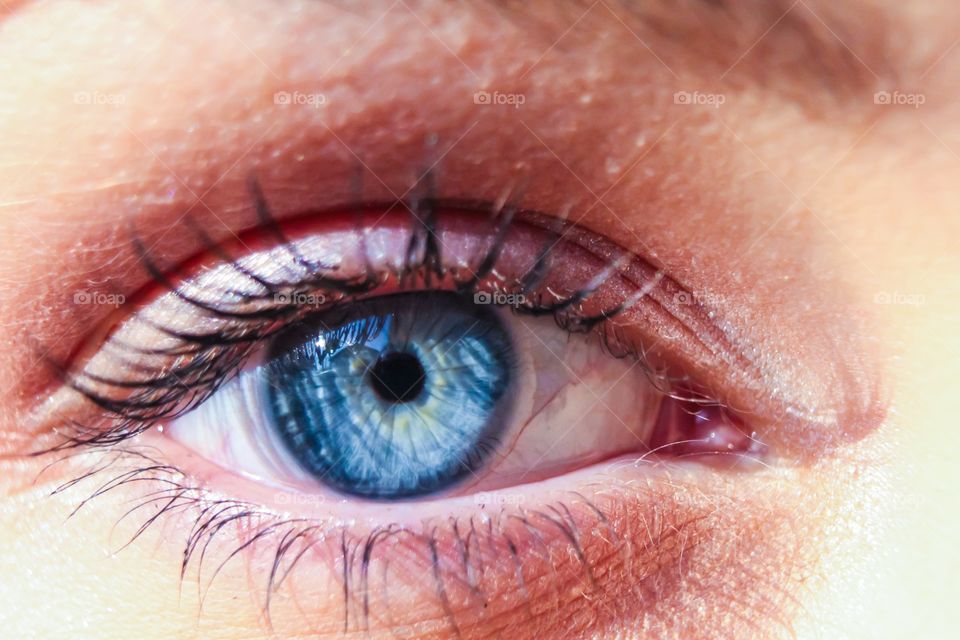 Close-up of blue eye